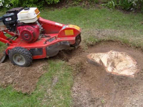 Stump Grinding 3